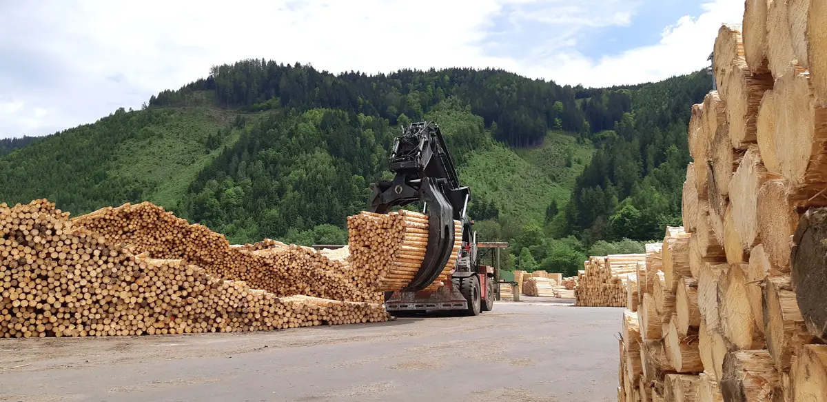 MM_Holz_MMHL_2019_Produktion_bearb_Hiebler__41_