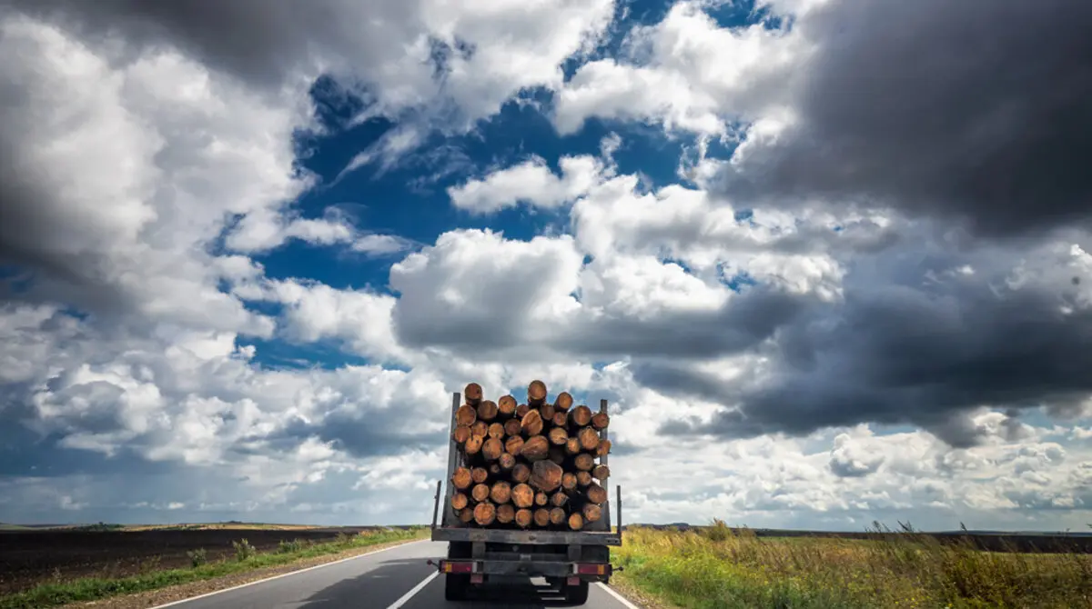 csm_MM_Holz_Rundholz_iStock-952357132_2a6dda29ec
