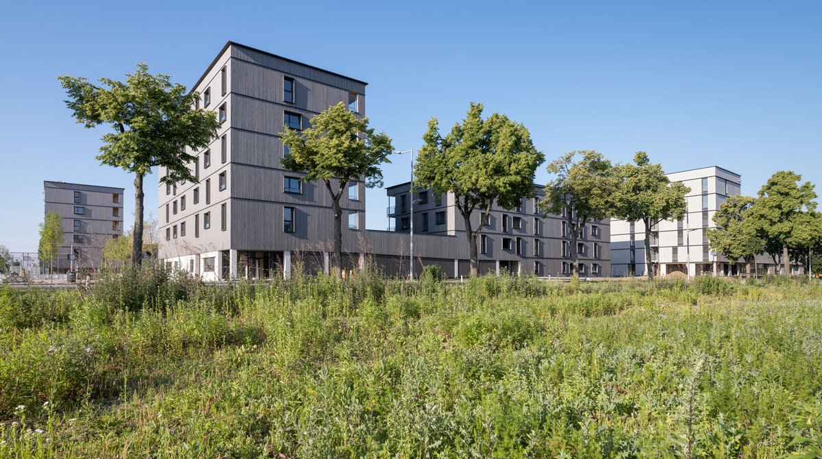 csm_MMHolz_Q7-354_BSP__c_pierer.net_5335cce5cf